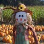 Photo of Tunitas Creek Family Farm