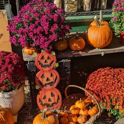 Trenton Farmers Market