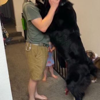 Colleen’s Newfies - My Husband with Bear! - Pet Breeders Near Me Colleen’s Newfies - My Husband with Bear! - Pet Breeders Near Me