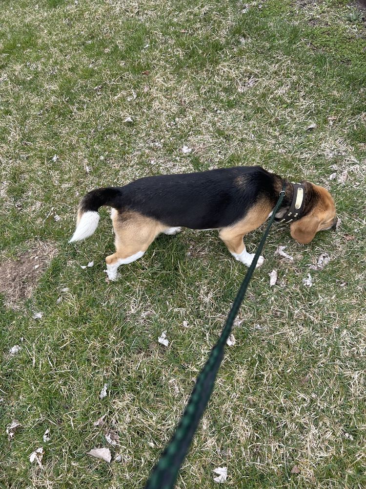 STARKE COUNTY HUMANE SOCIETY Updated June 2024 0104 W State Road 10