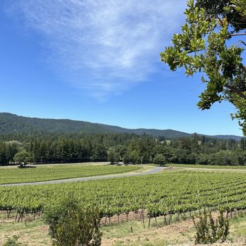 Roederer Estate - The grounds were breathtaking! - Wineries Near Me - Philo, California