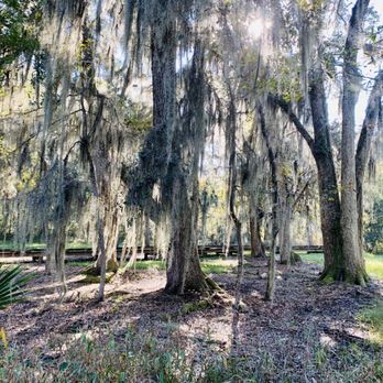 Cay Creek Wetlands Interpretive Center - Beautiful trees with Spanish Moss. - Hiking Near Me - Midway, Georgia Cay Creek Wetlands Interpretive Center - Beautiful trees with Spanish Moss. - Hiking Near Me - Midway, Georgia