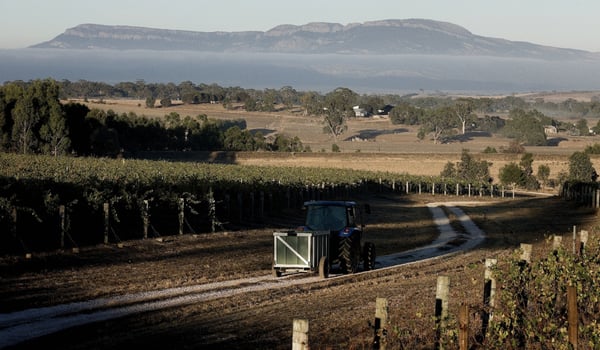 Best's Wines Great Western by null