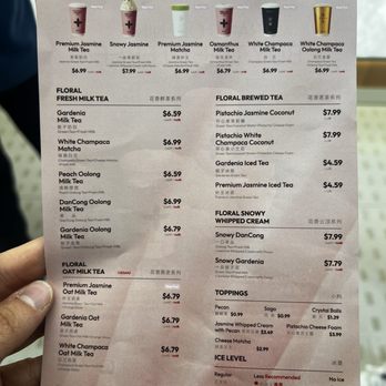 Molly Tea - Bubble Tea Near Me - Bellevue, Washington Molly Tea - Bubble Tea Near Me - Bellevue, Washington