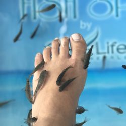 Sea of Life