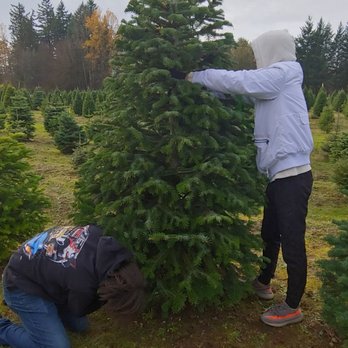 Double Four Tree Farm - Almost done! - Nurseries & Gardening Near Me - Tacoma, Washington