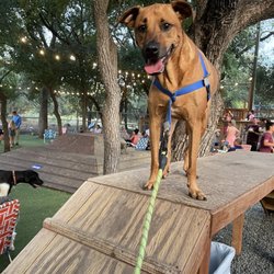 Hops & Hounds - Dog Park