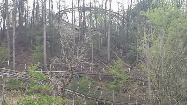 Smoky Mountain Alpine Coaster by null