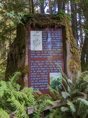 Prehistoric Gardens by null