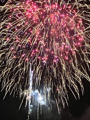 Gold Medal Park by null