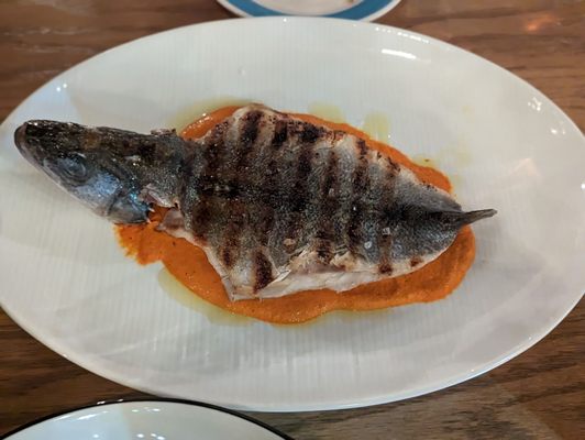 Alici Oyster Bar by null