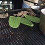 Taco Grill