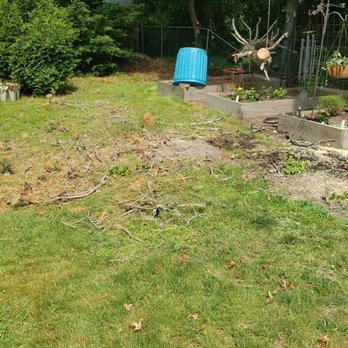 Tim Baker & Sons Tree Service - Tree Services Near Me - South Dennis, Massachusetts Tim Baker & Sons Tree Service - Tree Services Near Me - South Dennis, Massachusetts