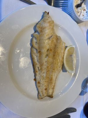 Fish Central by null