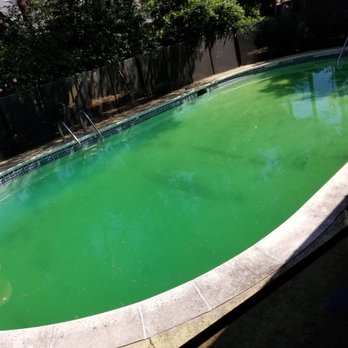 Maritime Pools - Anyone wanna come for a swim courtesy of Maritime Pools? - Pool Cleaners Near Me - Charleston, South Carolina