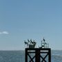 Southport Ferry