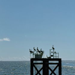 Southport Ferry - Seaside views