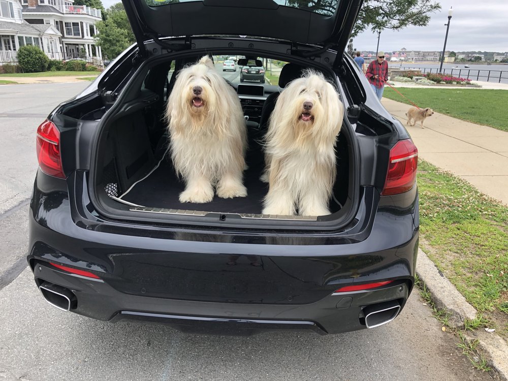 NORTH SHORE MOTOR WERKS Updated September 2024 15 Photos & 40