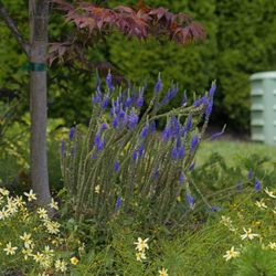 Irwin Landscaping - Whether you're looking to enhance your residential or commercial property, our team of skilled professionals is here to turn ...