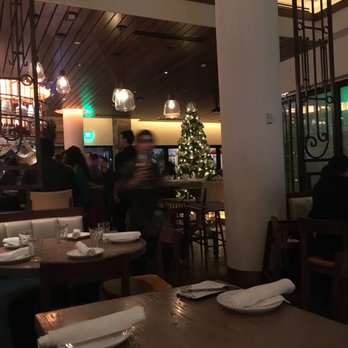 Pisco Y Nazca - Gastropubs Near Me - Kendall, Florida