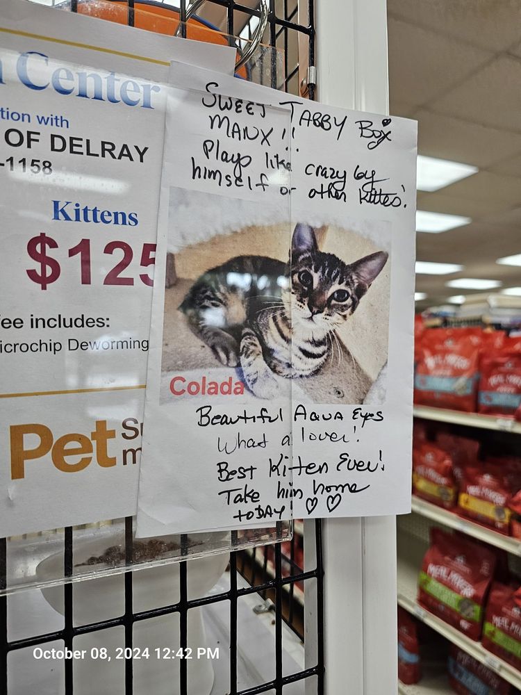 Pet Supermarket Image