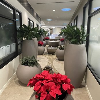 Reflections Dental Spa - General Dentistry Near Me - San Ramon, California Reflections Dental Spa - General Dentistry Near Me - San Ramon, California