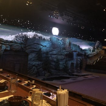 Dolly Parton's Stampede - Main arena - Performing Arts Near Me - Pigeon Forge, Tennessee