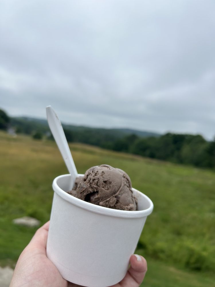 Round Top Ice Cream Stand Logo