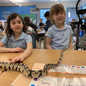 Kreepy Kreatures - Educational Programs Where learning transforms into fun! - Party Equipment Rentals Near Me Kreepy Kreatures - Educational Programs Where learning transforms into fun! - Party Equipment Rentals Near Me