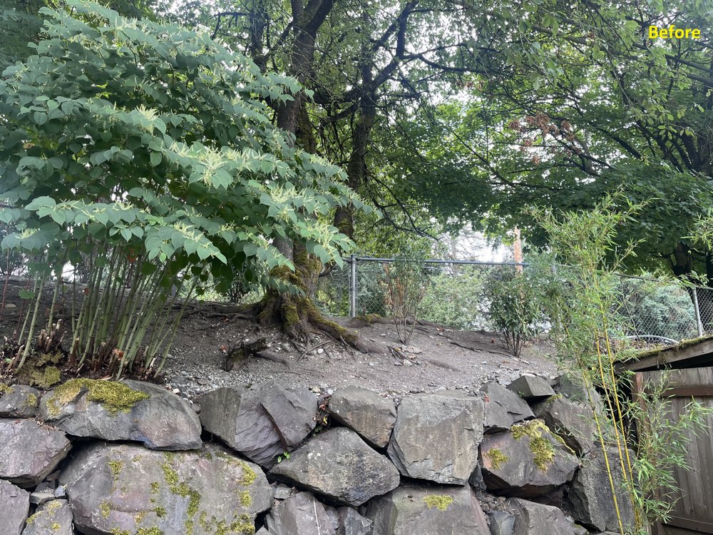 GREEN GIANT NURSERY Updated September 2024 12 Photos 10225 Lowell Larimer Rd, Everett