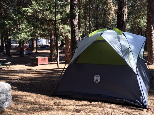 Camp Wawona by null