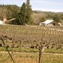 Photo of Russian River Wine Road Barrel Tasting