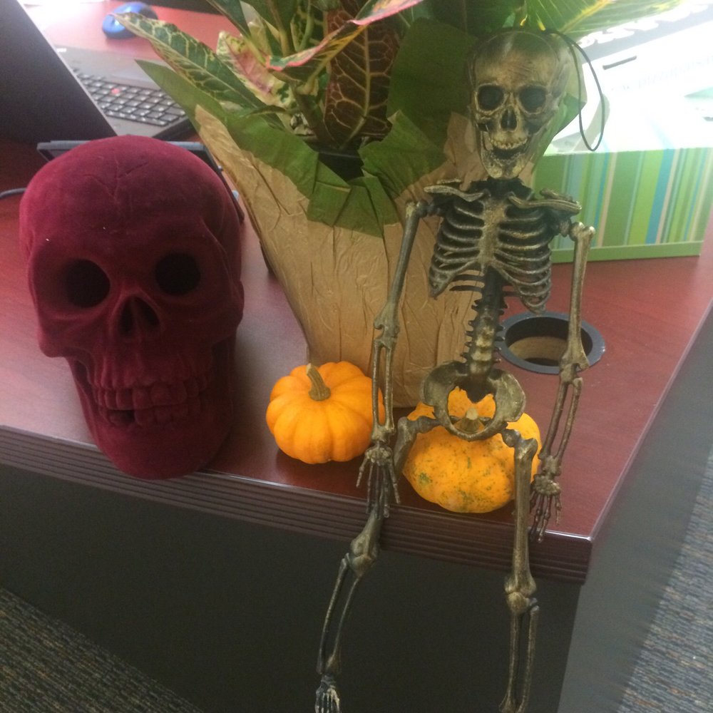 Skull and skeleton among my many finds at 60% off. Skull and skeleton among my many finds at 60% off.