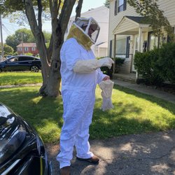Advanced Pest Inspection & Services