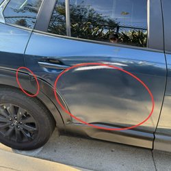 Bumper to Bumper - Said he ordered the same color but clearly it's not