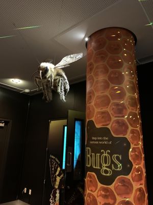 Phillip & Patricia Frost Museum of Science by null