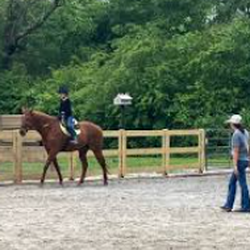 Rising Star Equestrian Center - great farm