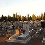Photo of Cementerio San Jose