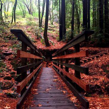 Dawn Falls - Hiking Near Me - Larkspur, California