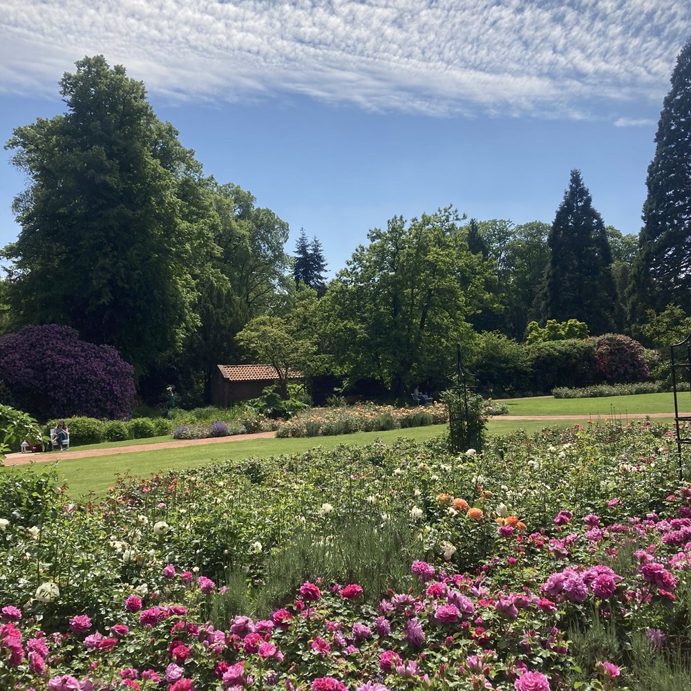 Schlossgarten - Parks Near Me - Oldenburg, NI