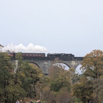 The Hairy Coo - The Hogwarts Express train from Harry Potter at the Glenfinnan Viaduct - Tours Near Me - Edinburgh, EDH