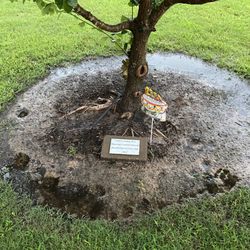 Hearthstone Park