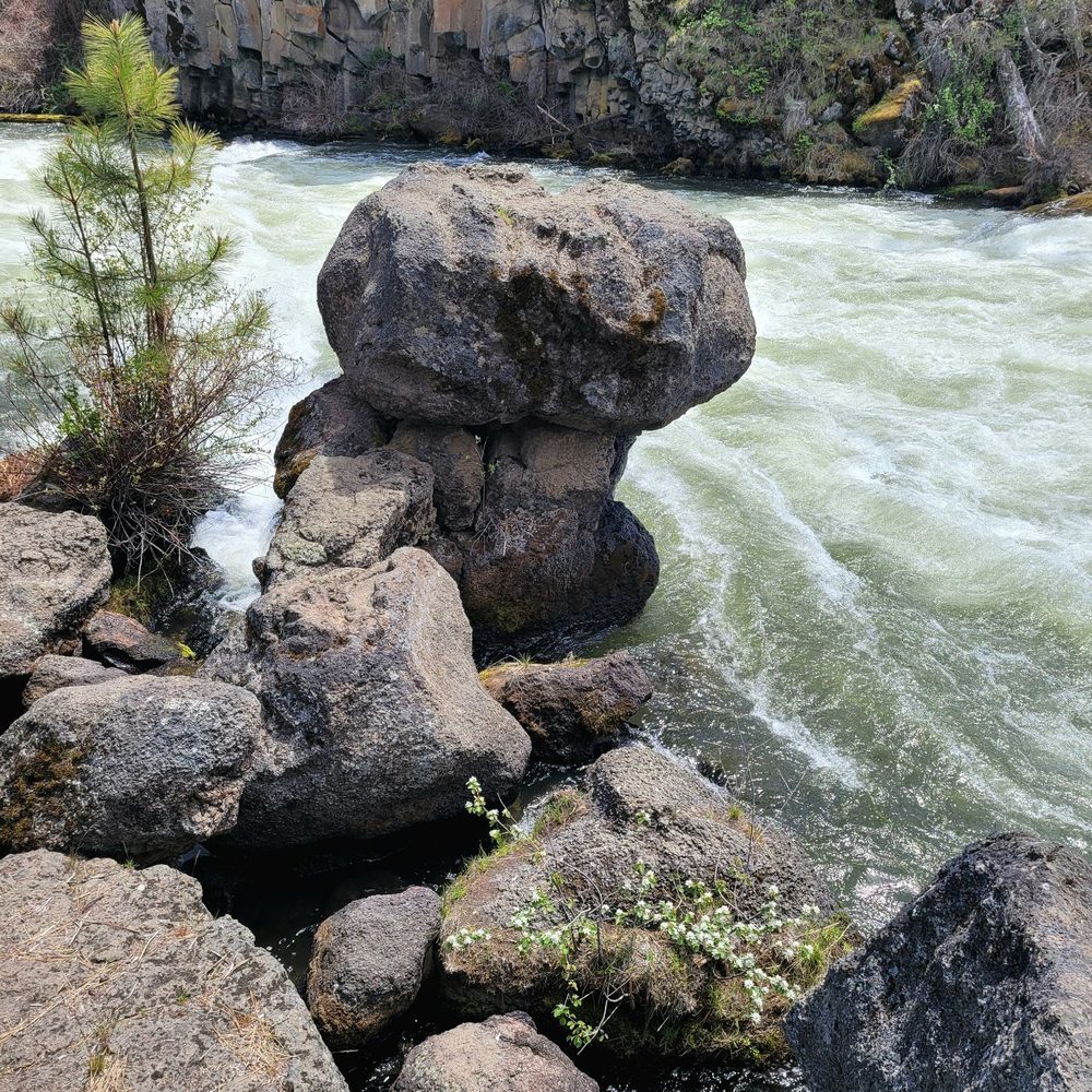 Dillon Falls - View near falls. - Hiking Near Me - Bend, Oregon Dillon Falls - View near falls. - Hiking Near Me - Bend, Oregon