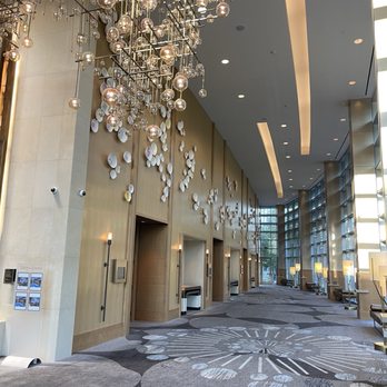 The Westin - Hotels Near Me - The Woodlands, Texas The Westin - Hotels Near Me - The Woodlands, Texas