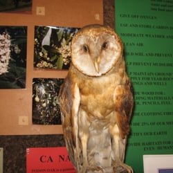 Carolyn Parr Nature Museum