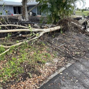 Precision Removal - Demolition Services Near Me - Melbourne, Florida