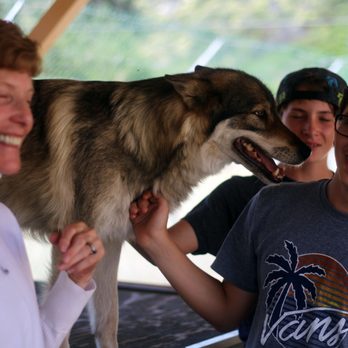 Shadowland Foundation - Tehya meeting some guests during a private visit. - Community Service/Non-Profit Near Me - Lake Hughes, California