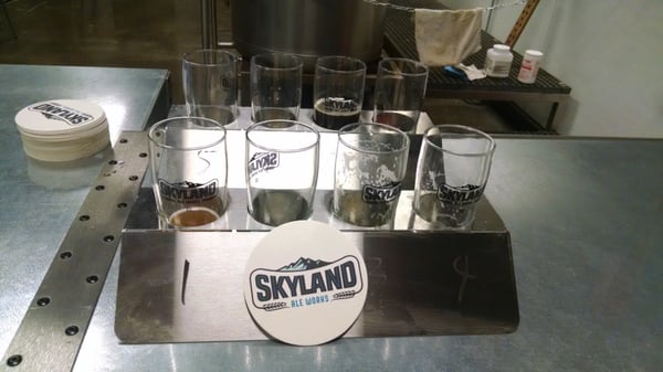 Skyland Ale Works by null