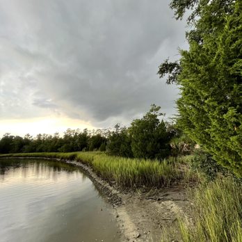 Palmetto Islands County Park - Right before rain bliss - Dog Parks Near Me - Mount Pleasant, South Carolina Palmetto Islands County Park - Right before rain bliss - Dog Parks Near Me - Mount Pleasant, South Carolina