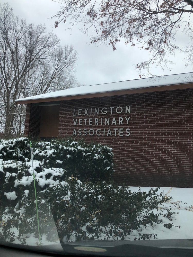LEXINGTON VETERINARY ASSOCIATES Updated October 2024 23 Reviews